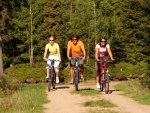 Mountain-Bikes in Harrachov - Harrachov